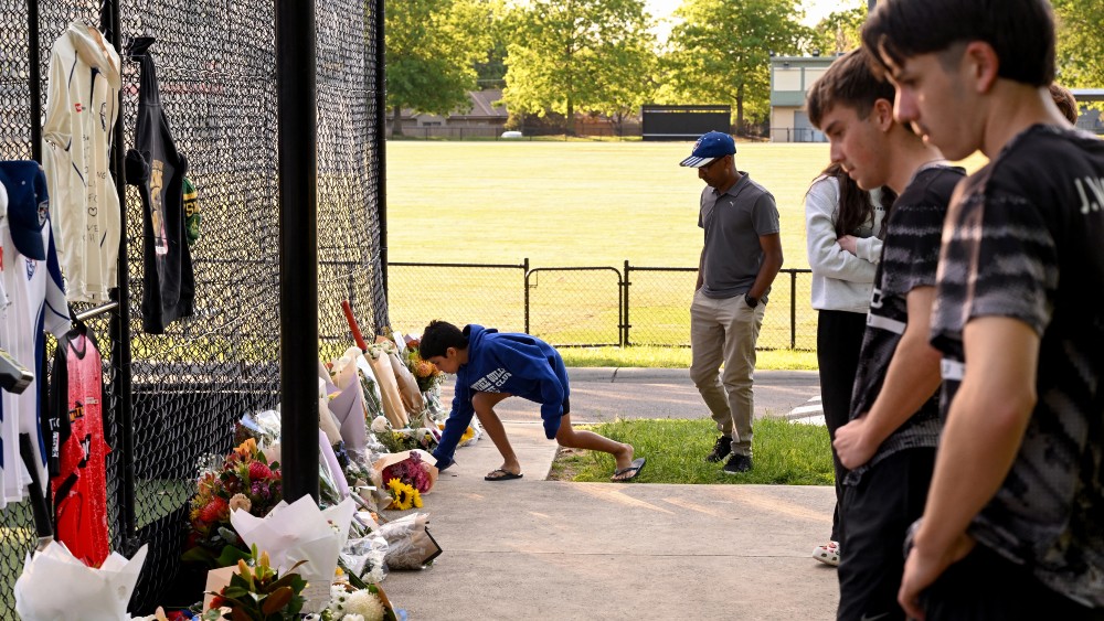 Cricket falls silent across Australia after teenager killed by ball